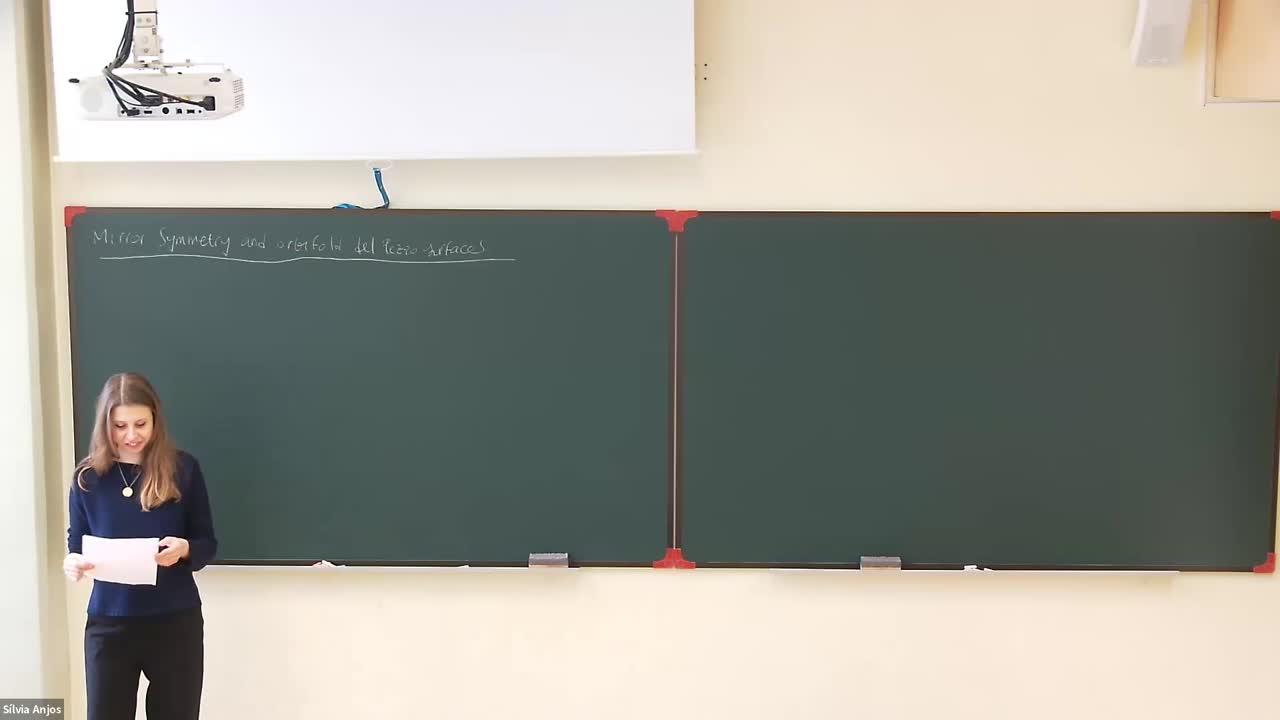  2025.03.21 Mirror Symmetry and orbifold del Pezzo surfaces