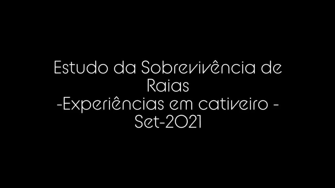  Projeto PP Centro - Estudo da Sobrevivência de Raias - Experiências em Cativeiro
