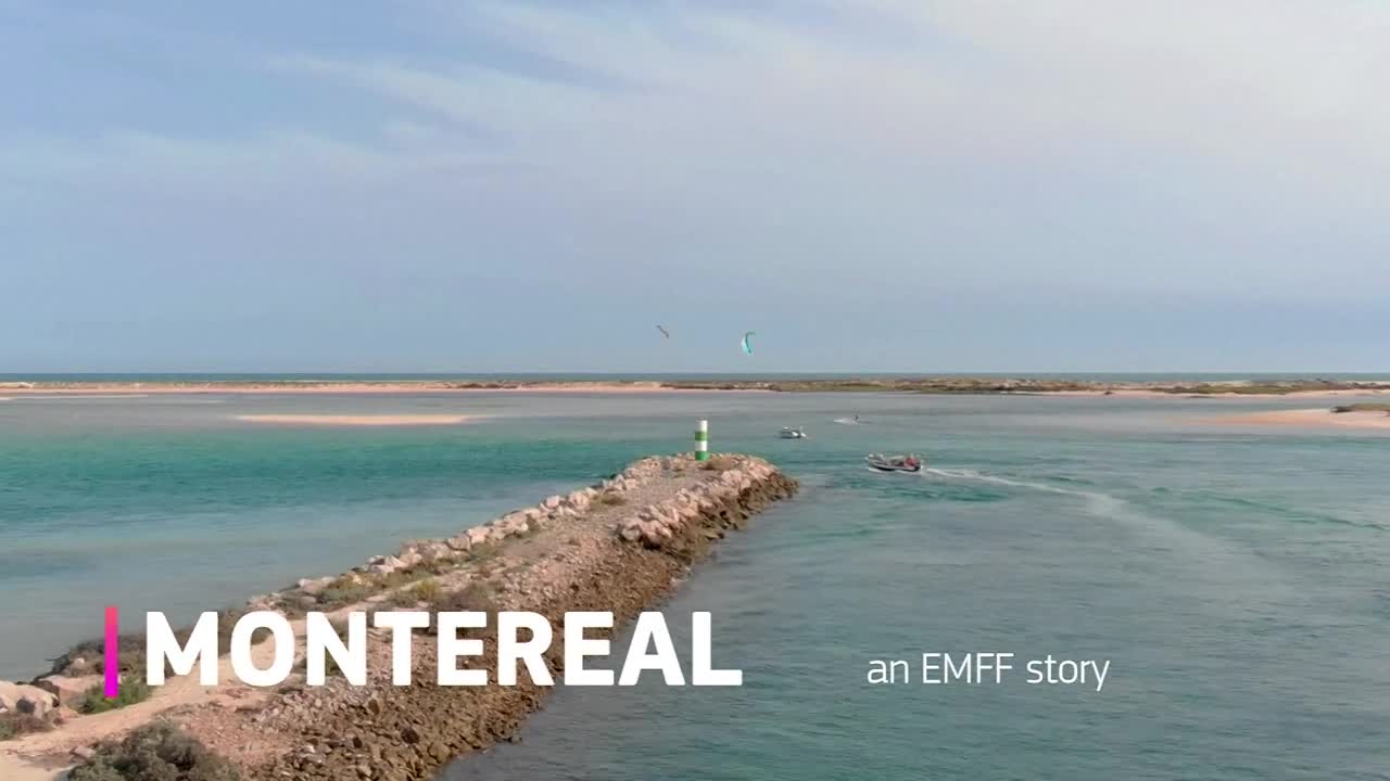  Vídeo do Projeto MONTEREAL - Monitorização em tempo real da frota de ganchorra.