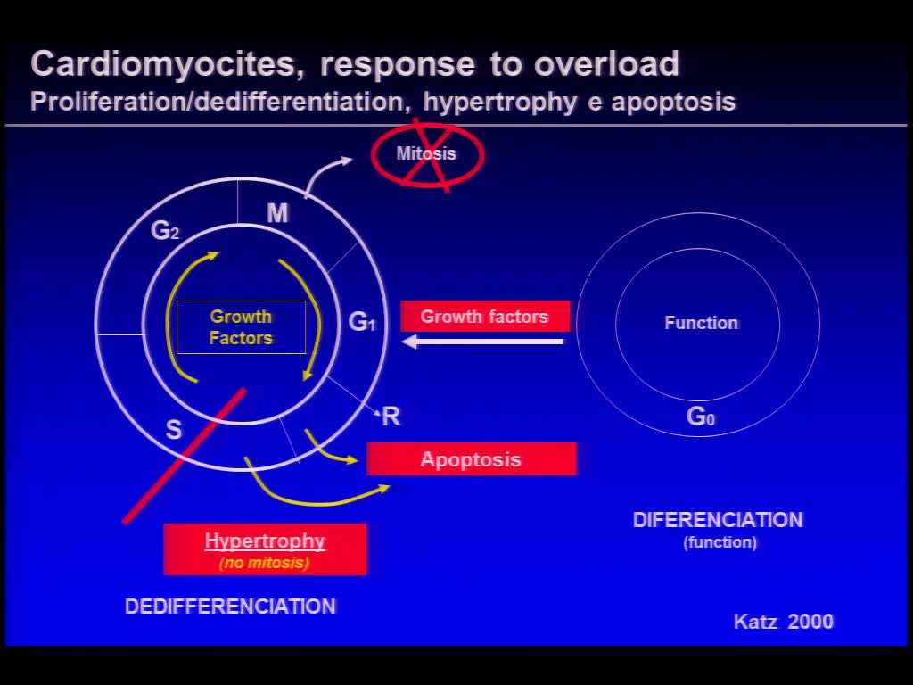 Disfunção neuro-hormonal na insuficiência cardíaca