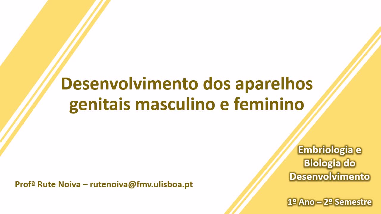  Desenvolvimento dos aparelhos genitais masculino e feminino