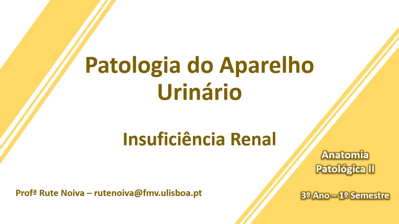  Patologia do Rim Insuficiencia renal