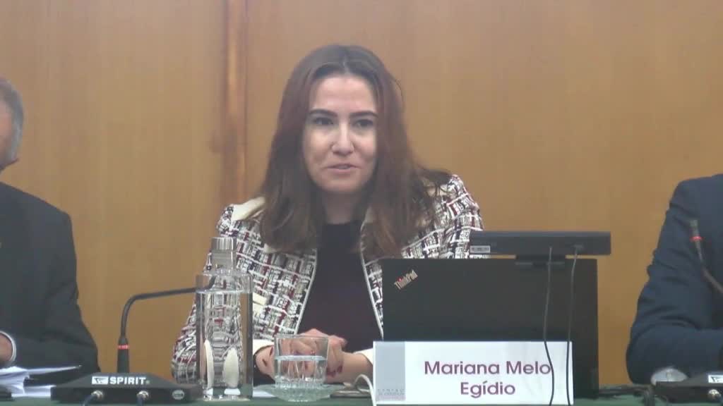  Responsabilidade extracontratual por factos ilícitos e culposos praticados no exercício da função administrativa – I (pressupostos da responsabilidade)