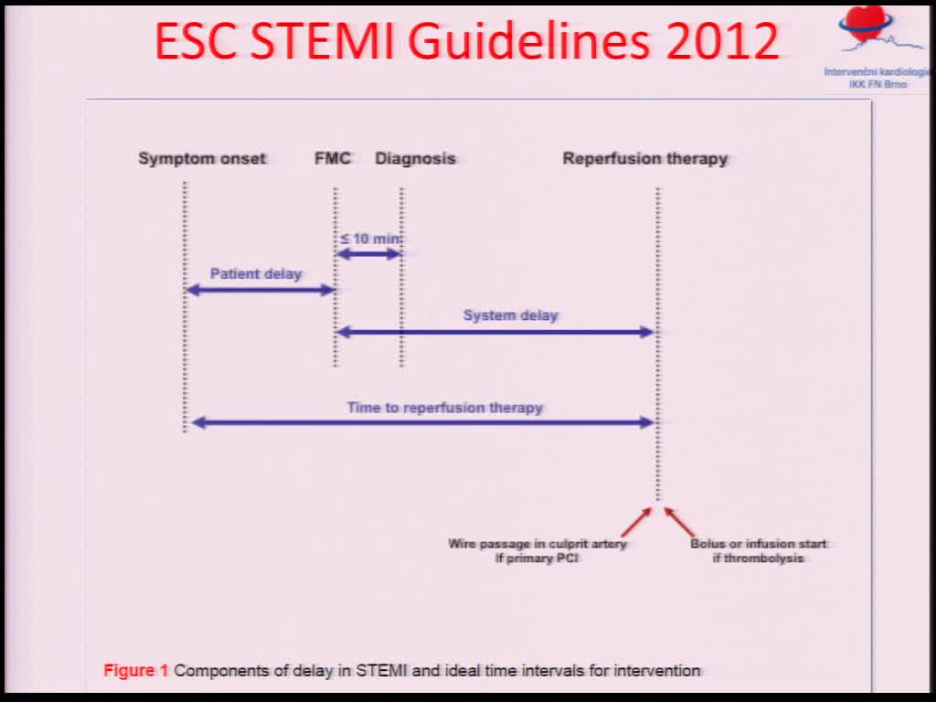 Recomendações no enfarte agudo do miocárdio com supra do ST em 2013