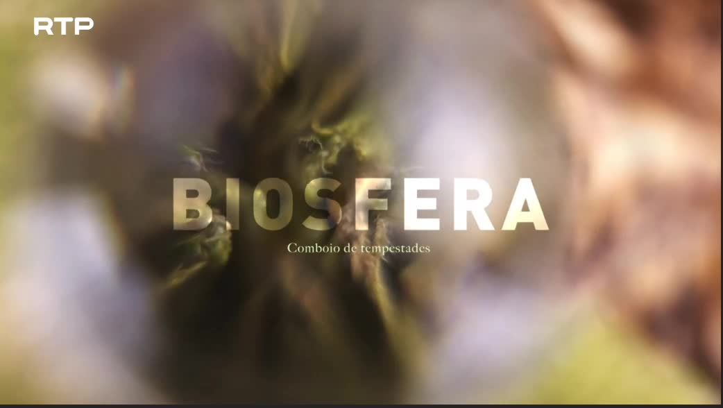  Biosfera  Comboio de Tempestades