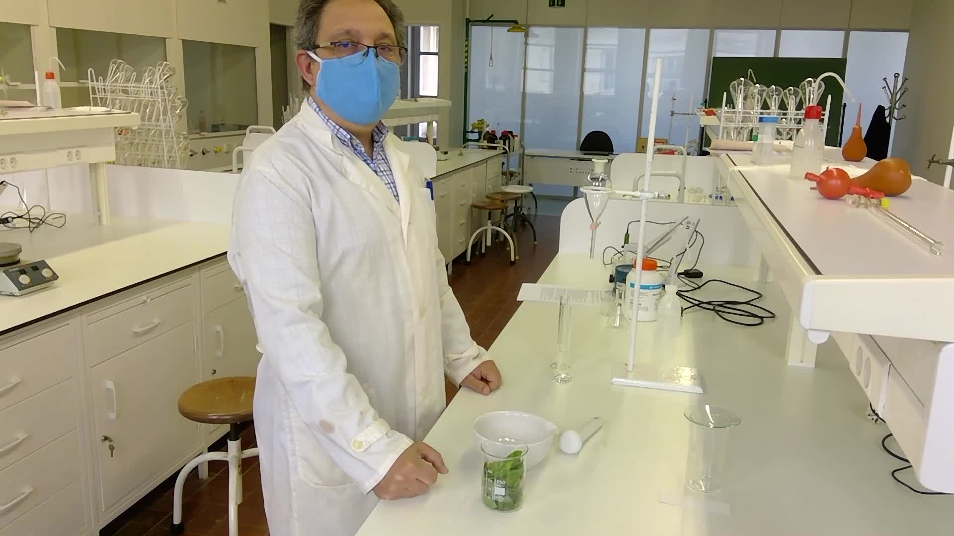 Separação de pigmentos de folhas verdes