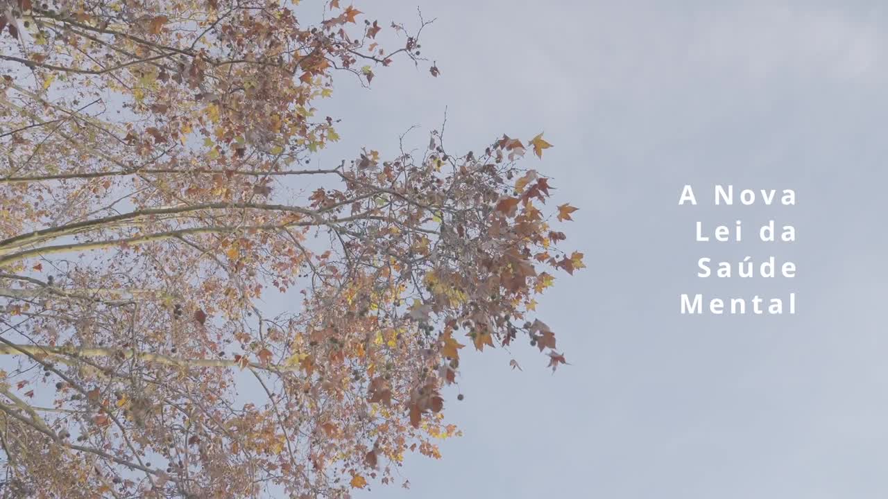  Execução da pena de prisão e de medida de segurança privativa da liberdade: que intercepção com a Lei de Saúde Mental