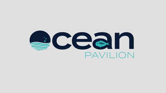  Vídeo Institucional do IPMA - COP 28, Ocean Pavilion