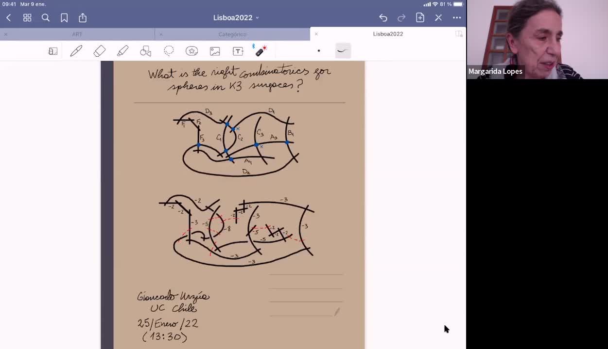  2022.01.25  What is the right combinatorics for spheres in K3 surfaces?