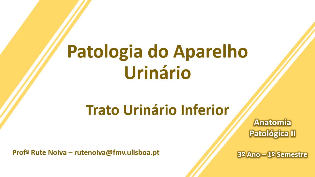  Patologia do Trato Urinario Inferior