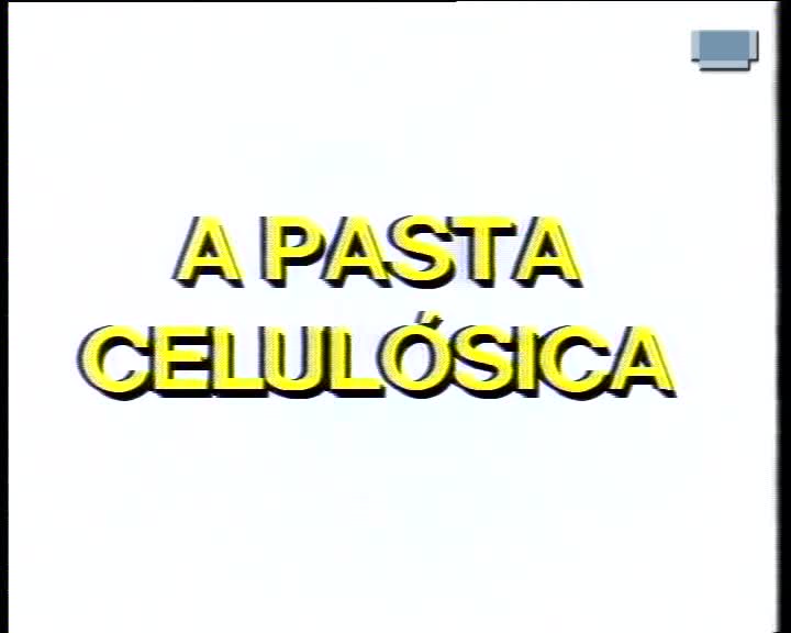  A pasta celulósica