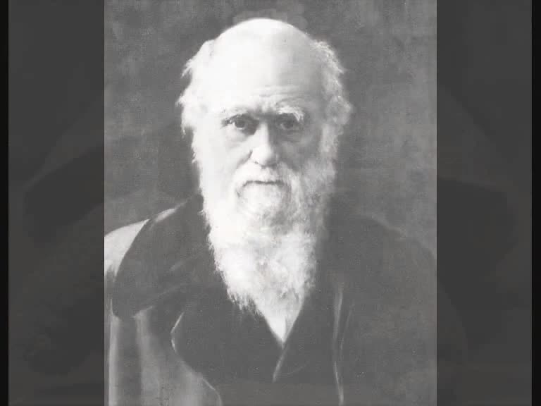 Sabe quem foi Charles Darwin?
