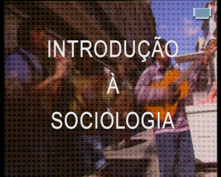  Introdução à sociologia : sistemas sociais e interacção