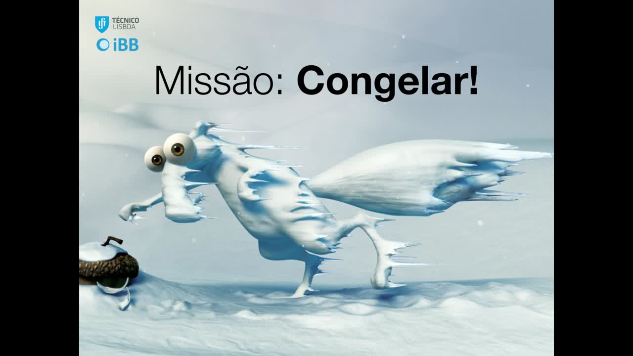  Missão congelar!