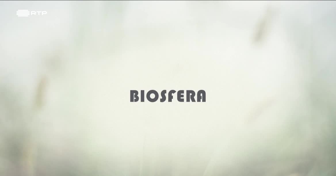  Biosfera