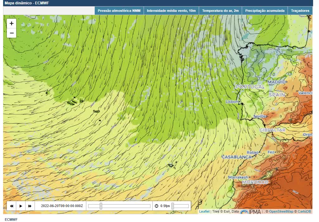  Que informação é dada no modelo ECMWF?