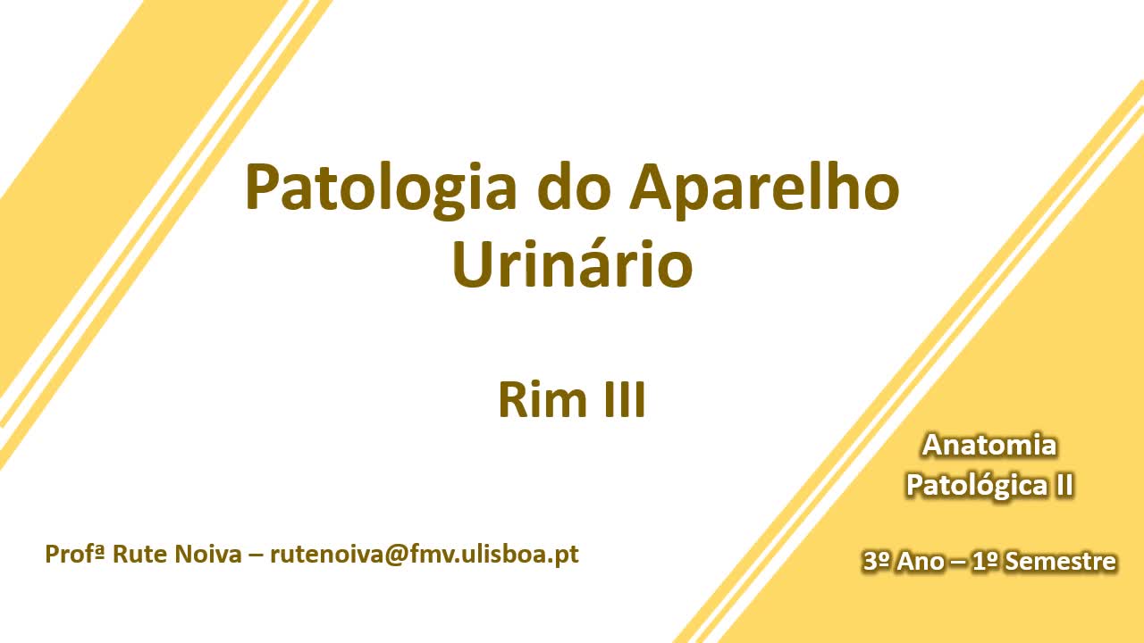 Patologia do Rim III