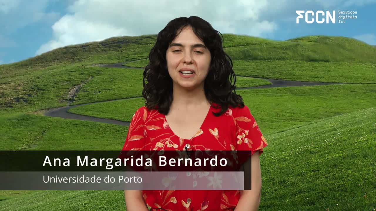Um dia na FCCN - testemunho de Ana Margarida Bernardo