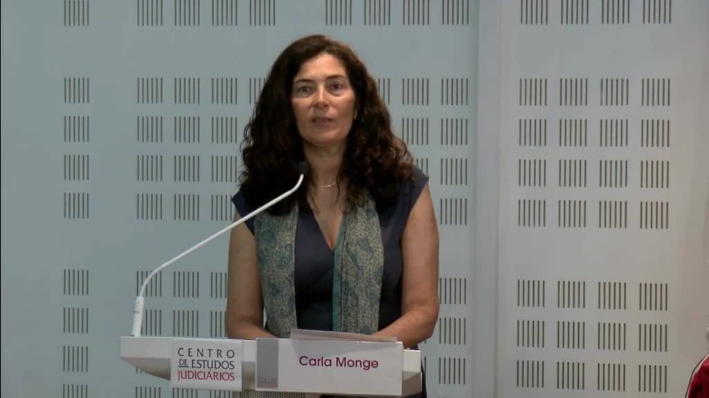  Seminário sobre Violência contra crianças no contexto mais amplo da Violência Doméstica