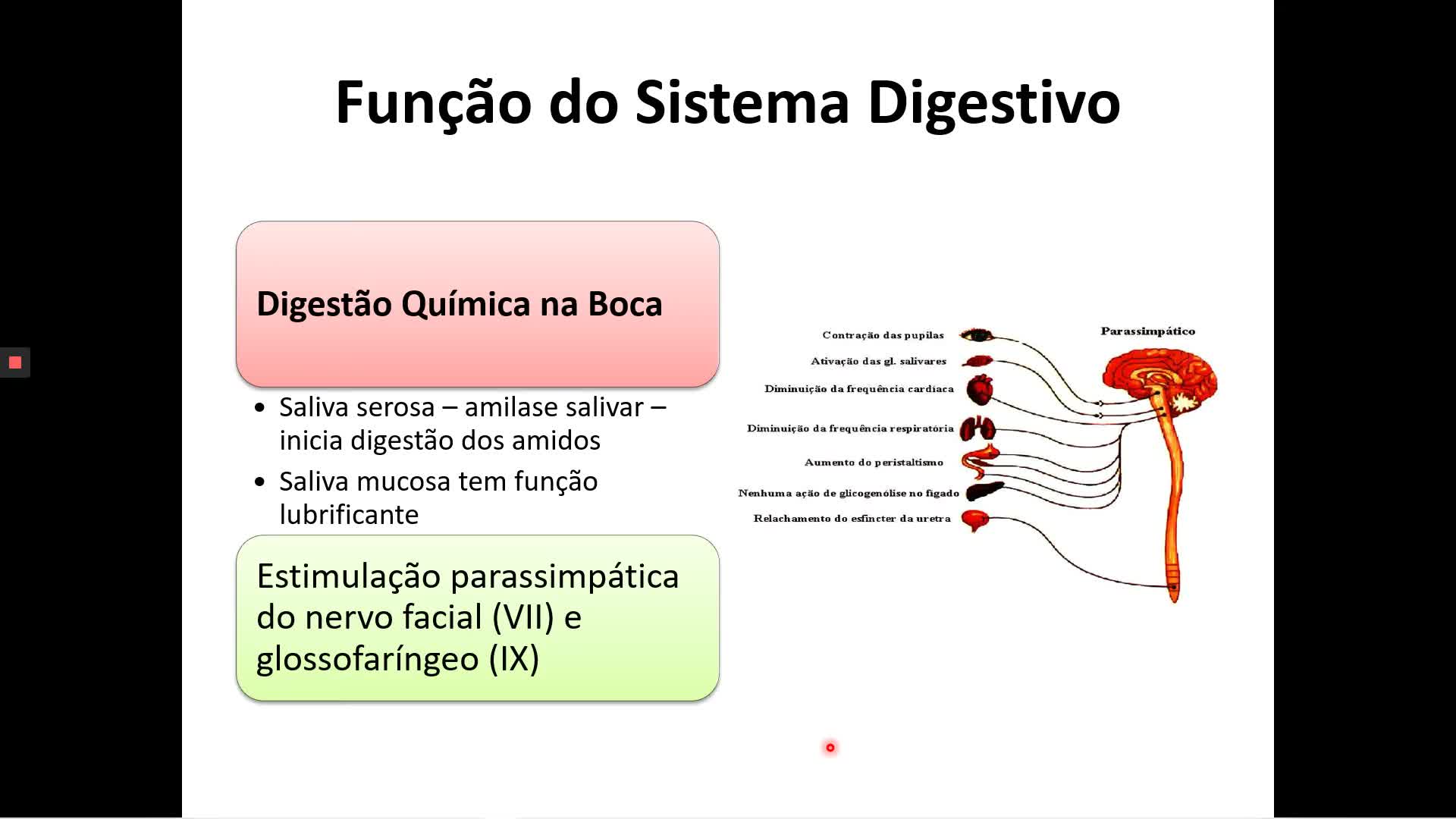 Imagem de capa