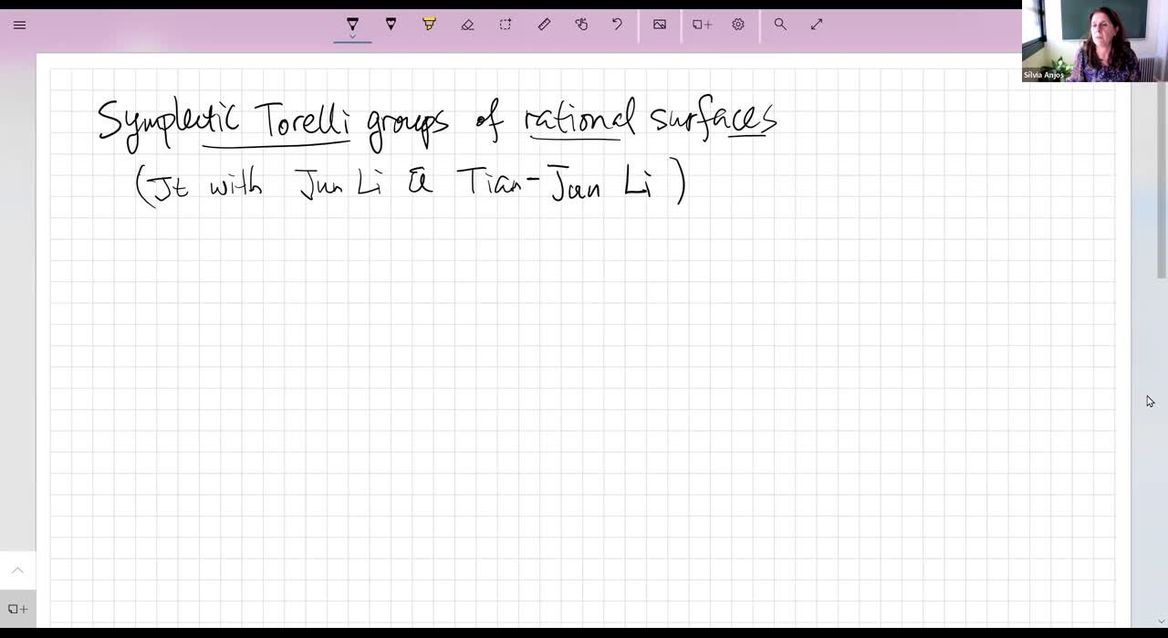  2023.03.21 Symplectic Torelli groups for positive rational surfaces