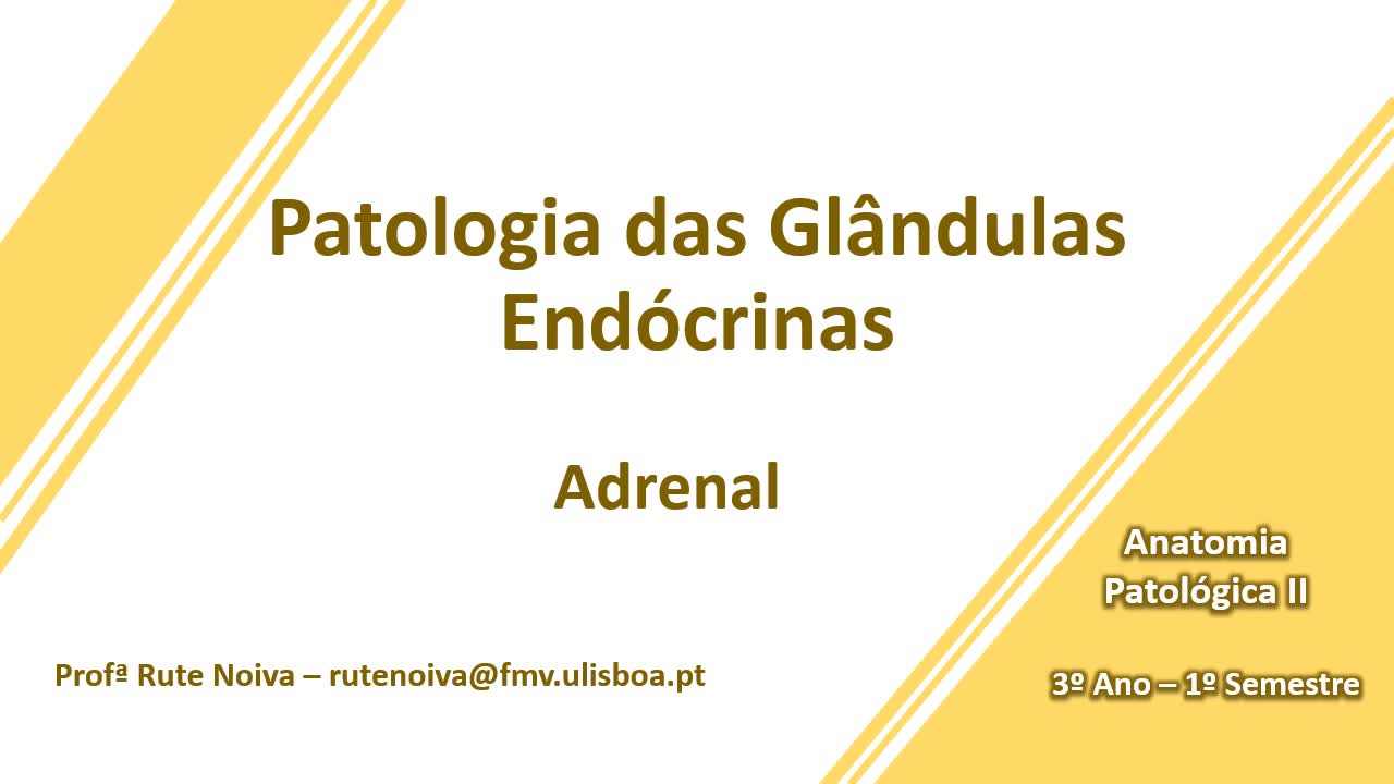  Patologia da Adrenal