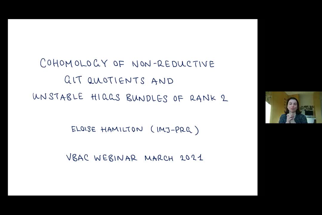  Cohomology of Non-Reductive GIT quotients and unstable Higgs bundles of rank 2