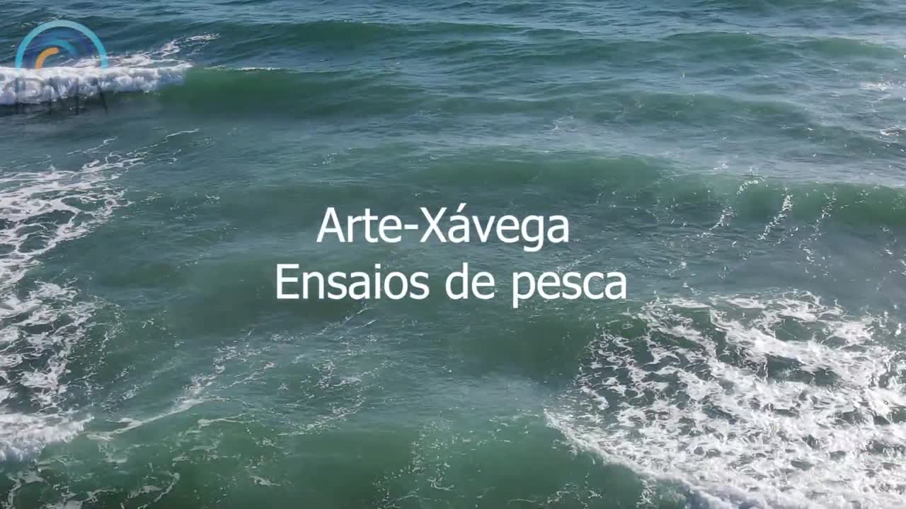  Arte Xávega - Ensaios de Pesca - 19 de dezembro de 2023