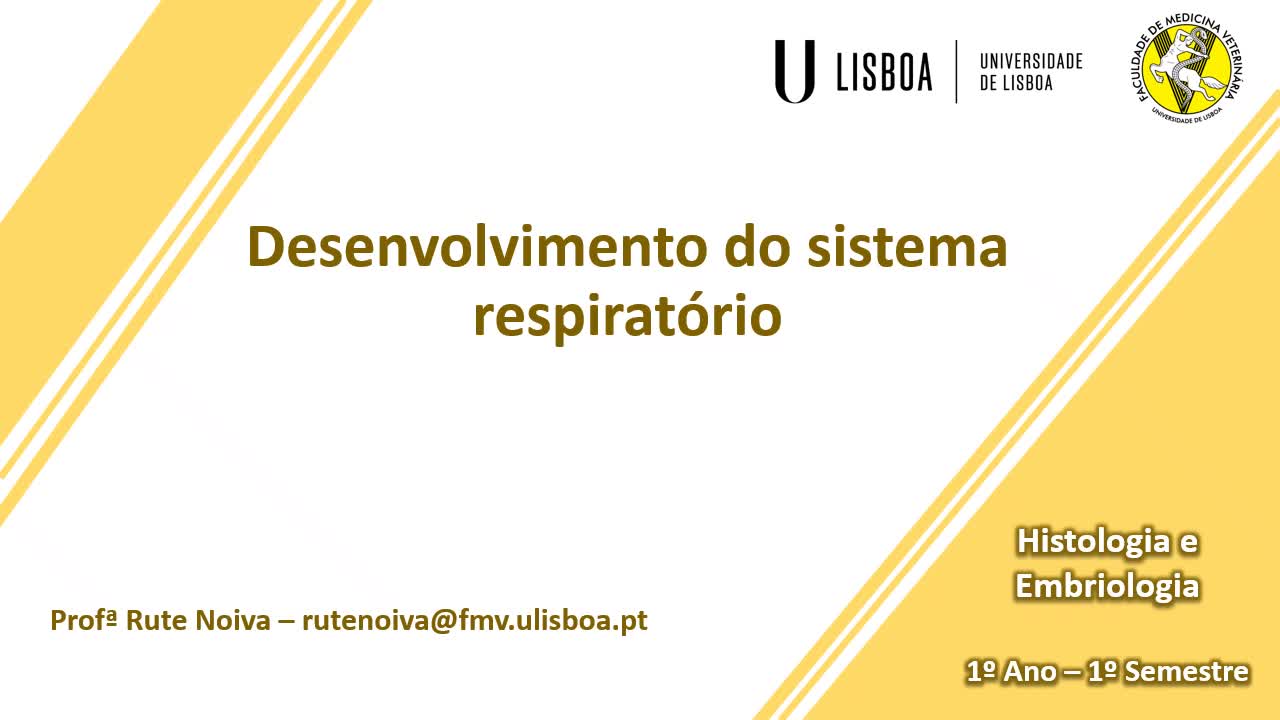  Desenvolvimento do sistema respiratório