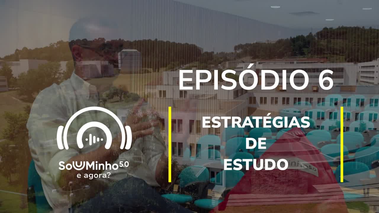  Sou UMinho... e agora?