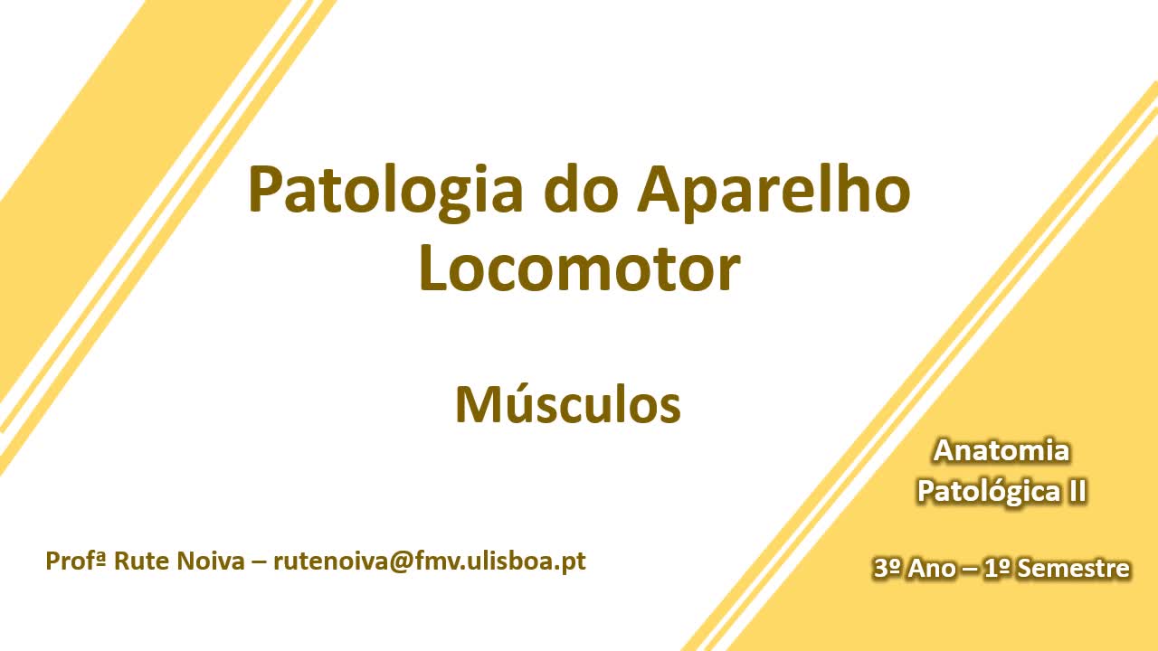  Patologia dos Músculos