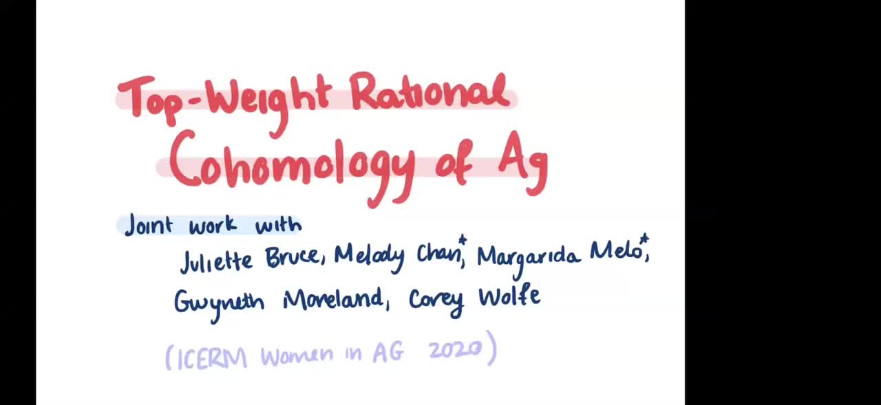 Top Weight Cohomology of $A_g$