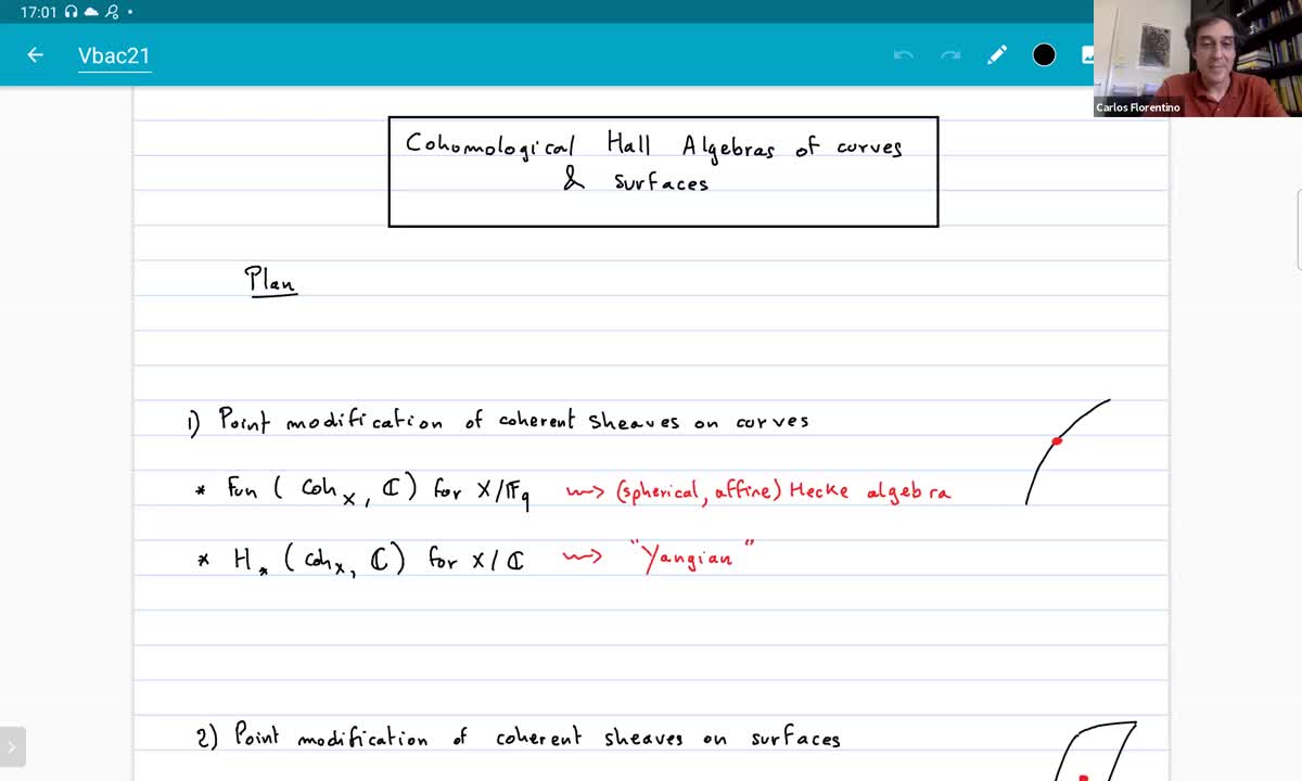 Cohomological Hall algebras of curves and surfaces