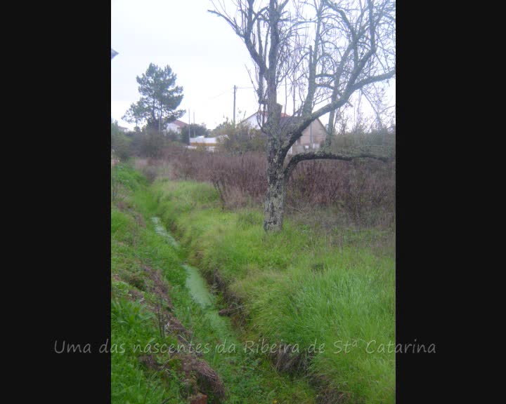 Projecto de Recuperação da Ribeira de Santa Catarina