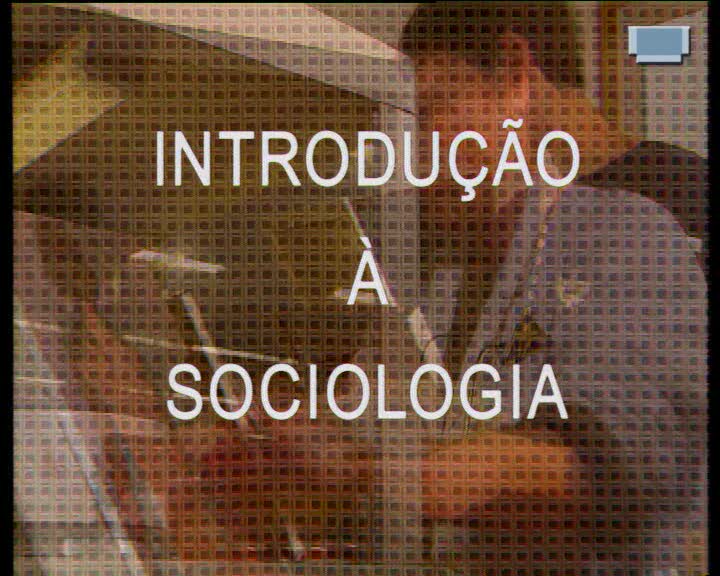  Introdução à sociologia : singularidades sociais