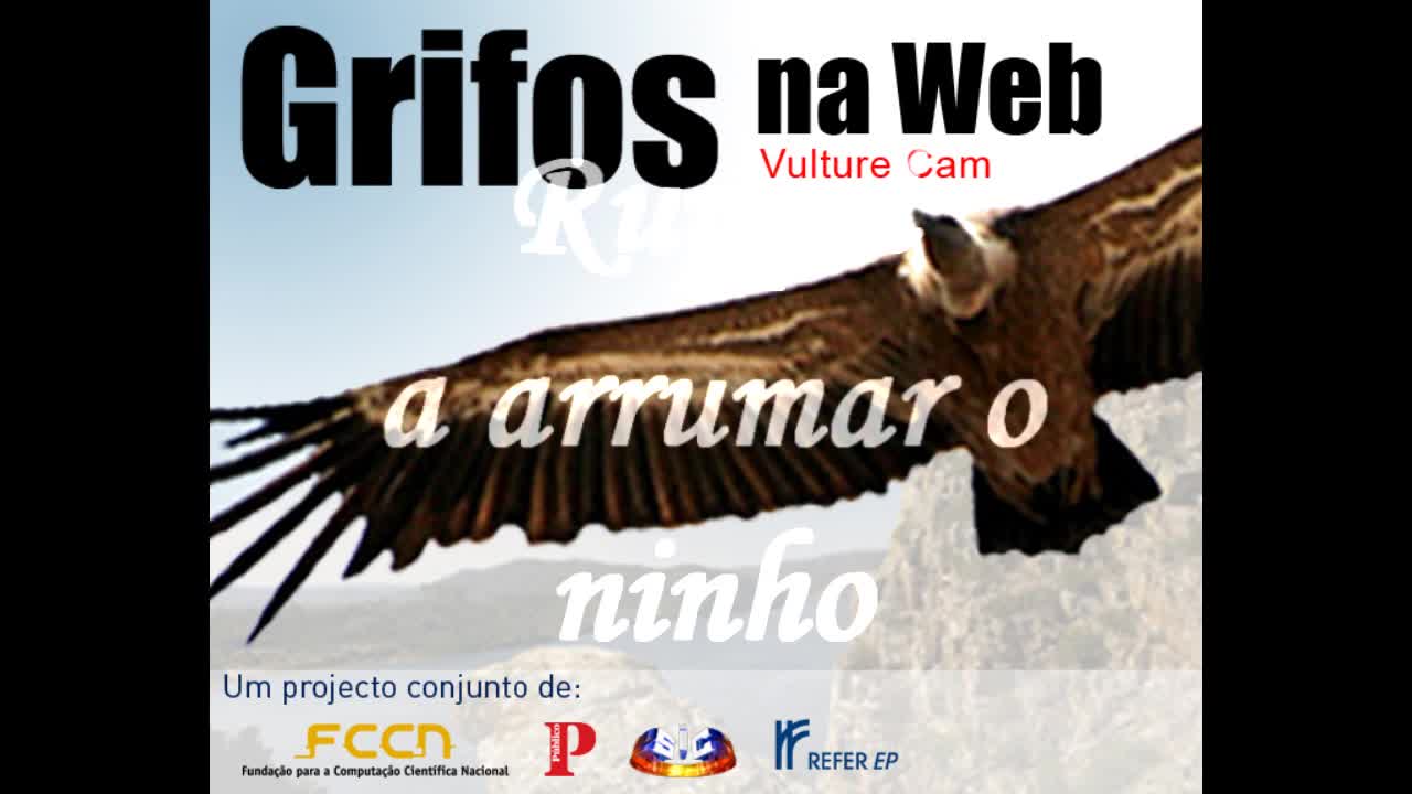 Imagem de capa