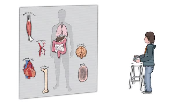 Eu e o meu corpo