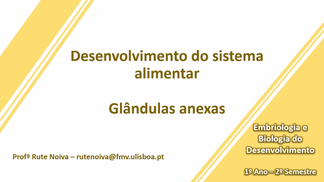 Desenvolvimento do sistema alimentar (glândulas anexas)