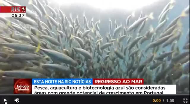  Regresso ao mar