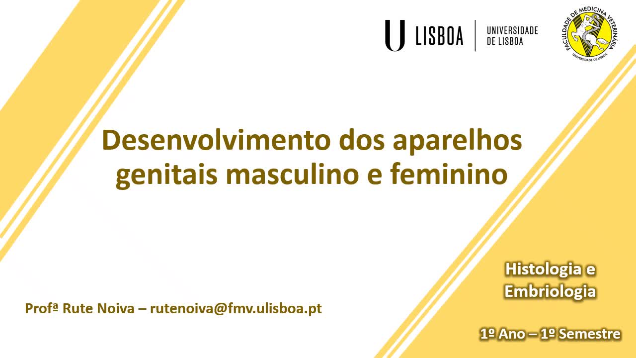  Desenvolvimento dos aparelhos genitais masculino e feminino