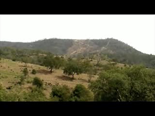 Ecos de uma serra viva