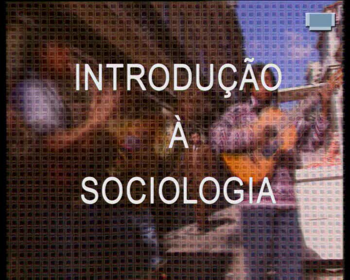  Introdução à sociologia : recomposição das estruturas sociais