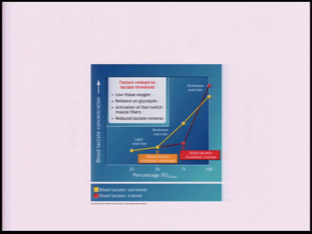 Adaptação do organismo ao esforço