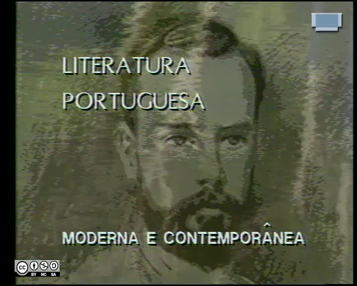  Literatura portuguesa moderna e contemporânea : o naturalismo