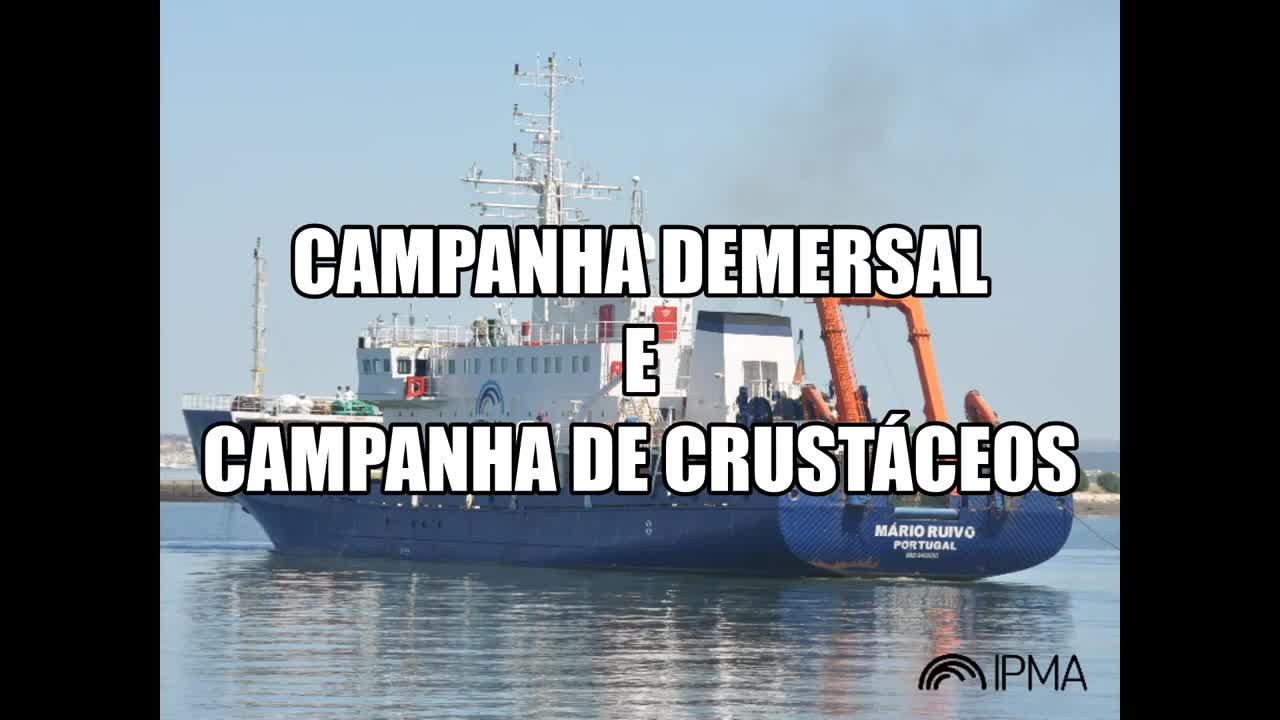  Vídeo das campanhas oceanográficas de investigação - PELAGO, CRUSTACEOS e DEMERSAL