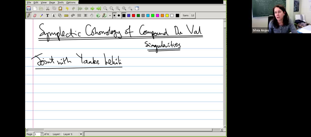  2022.02.08 Symplectic cohomology of compound Du Val singularities