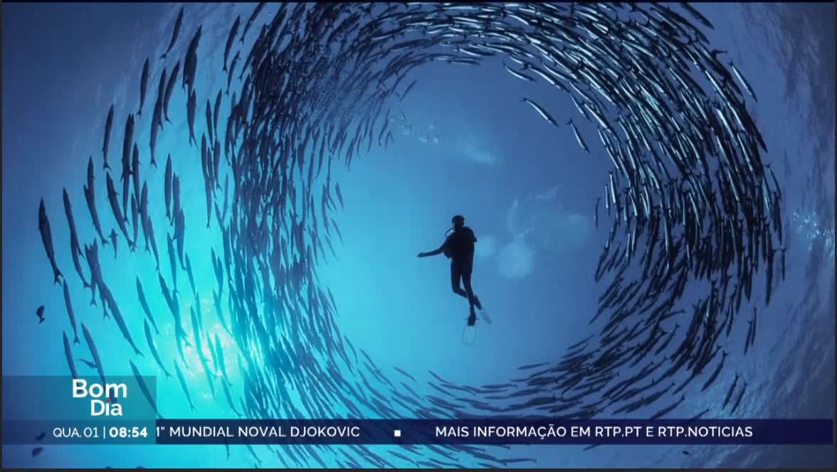  "O Oceano é finito e frágil"