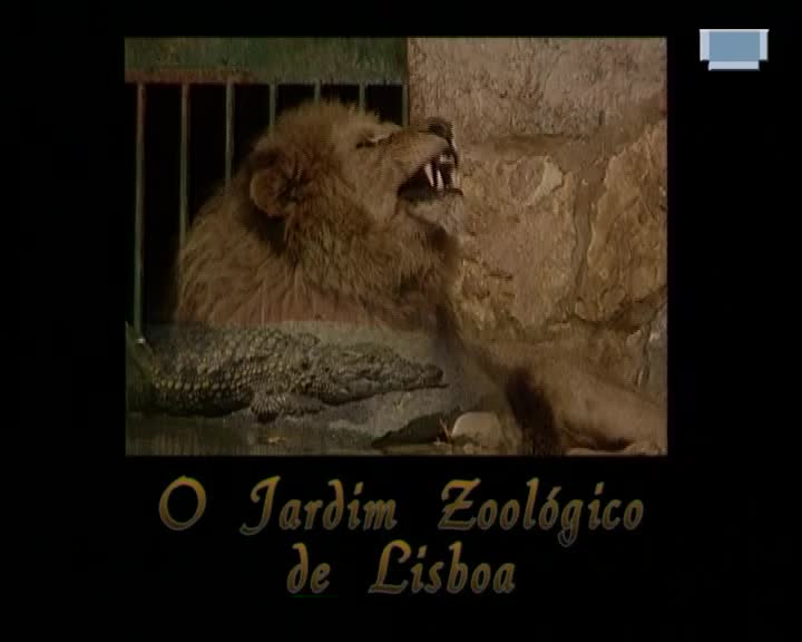 O Jardim Zoológico de Lisboa