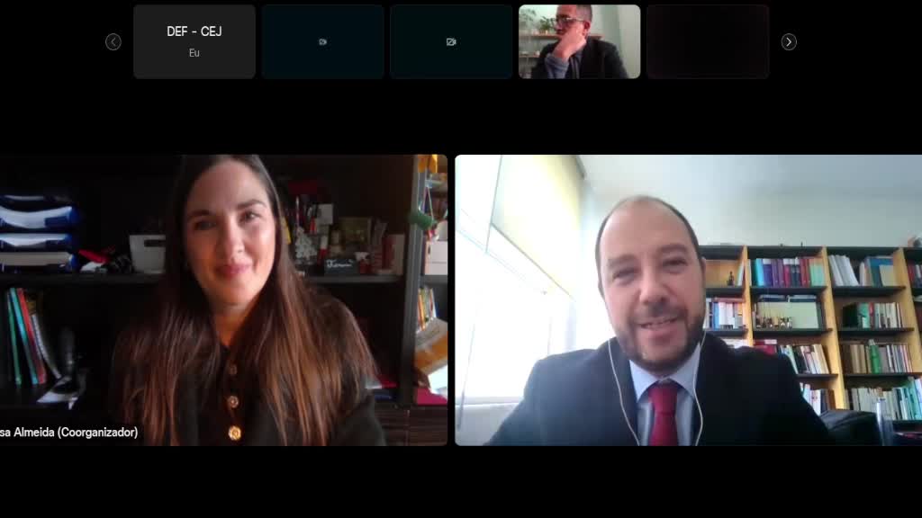  A proteção multinível dos direitos fundamentais 