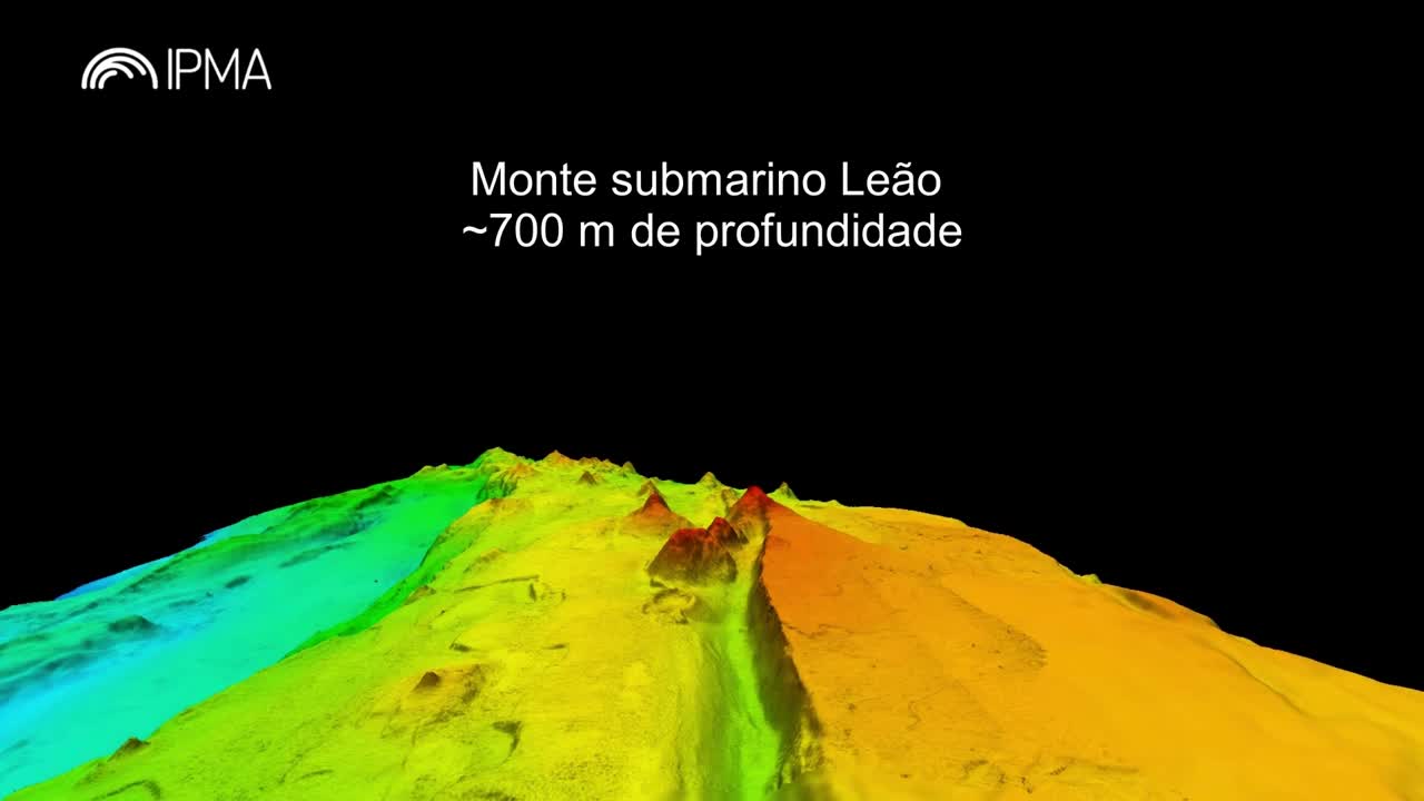  Fundo mar do monte submarino Lion na Crista Madeira-Tore